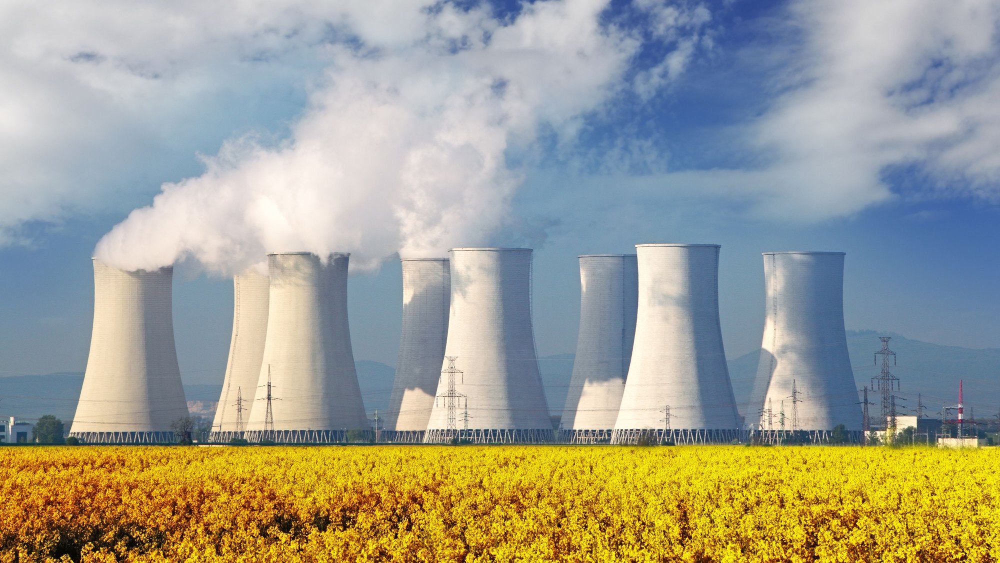 Steam rising from the cooling towers of a power station above a field of yellow flowers