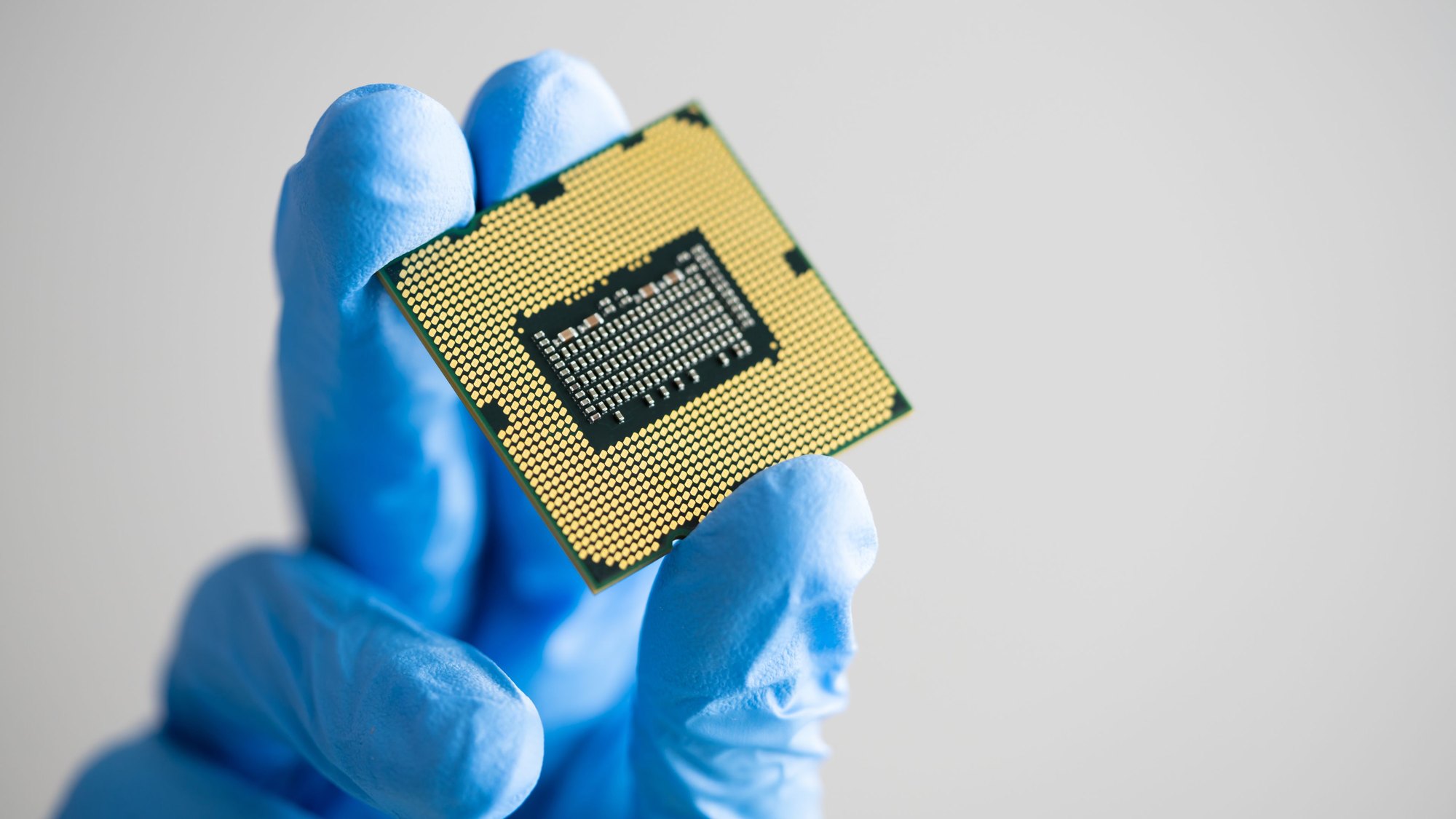 A blue-gloved hand holding a processor chip by its edges
